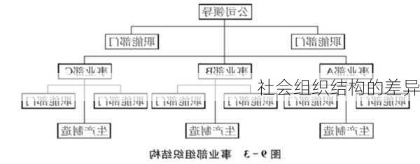 社会组织结构的差异