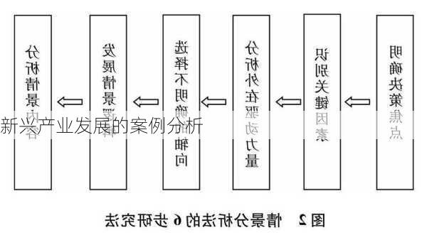 新兴产业发展的案例分析